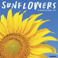 image Sunflowers 2027 Wall Calendar Main Product Image