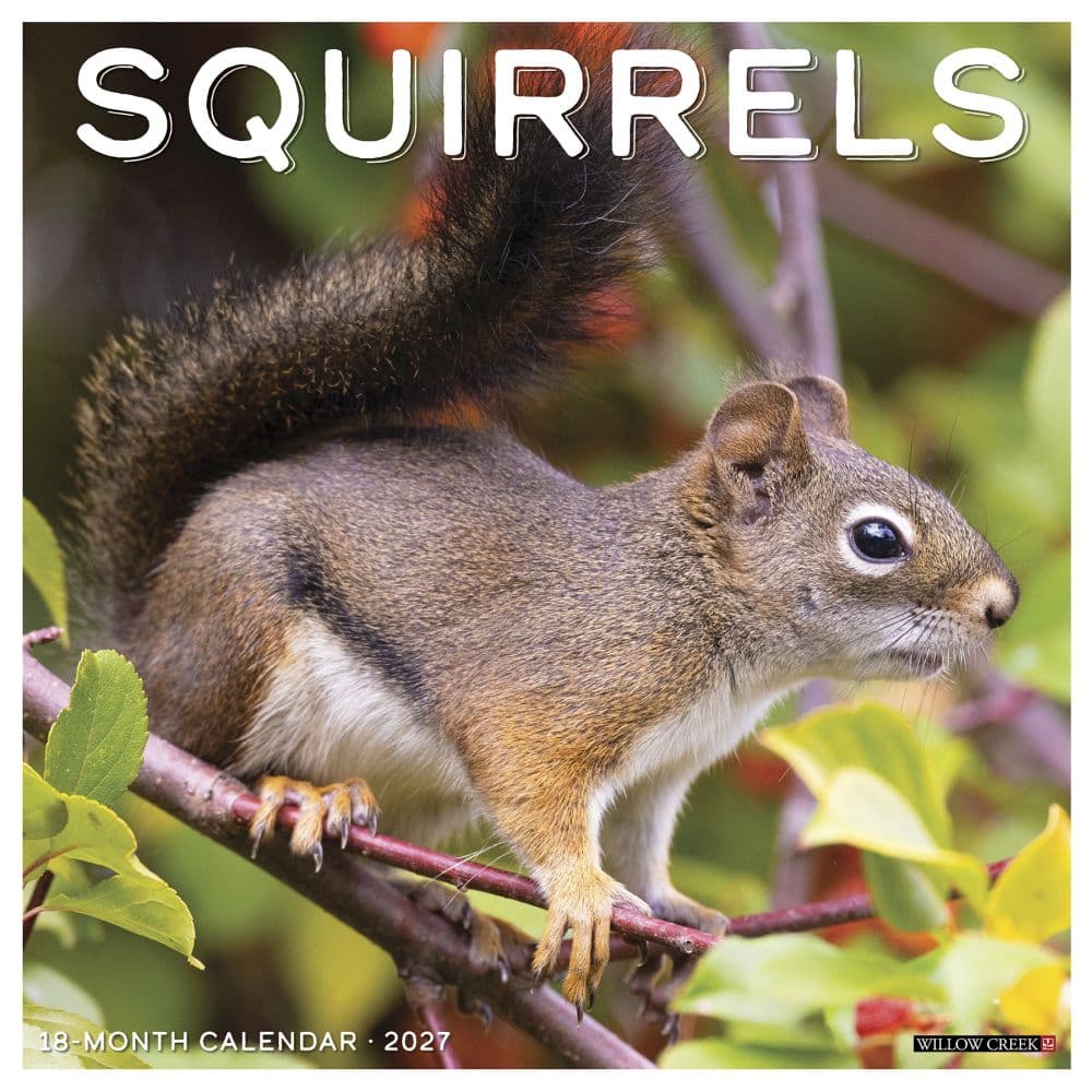 Squirrels 2027 Wall Calendar Main Product Image