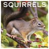 image Squirrels 2027 Wall Calendar Main Product Image