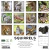 image Squirrels 2027 Wall Calendar First Alternate Image