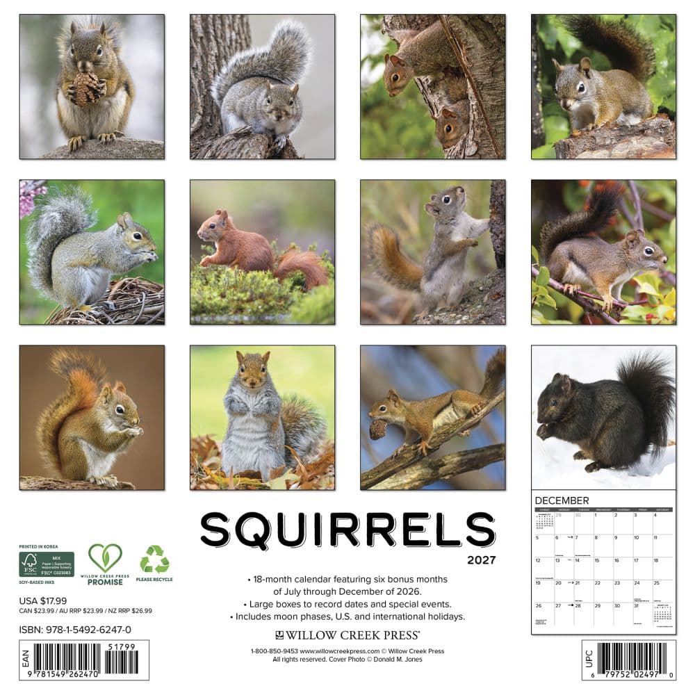 Squirrels 2027 Wall Calendar First Alternate Image