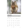 image Squirrels 2027 Wall Calendar Second Alternate Image