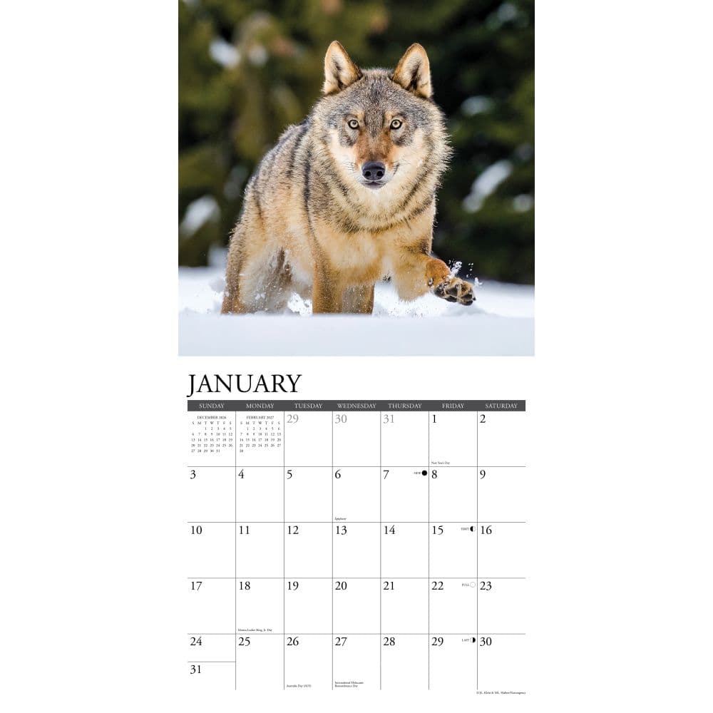 Spirit of the Wolf 2027 Wall Calendar Second Alternate Image