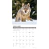 image Spirit of the Wolf 2027 Wall Calendar Second Alternate Image