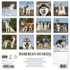 image Just Siberian Huskies 2027 Wall Calendar First Alternate Image