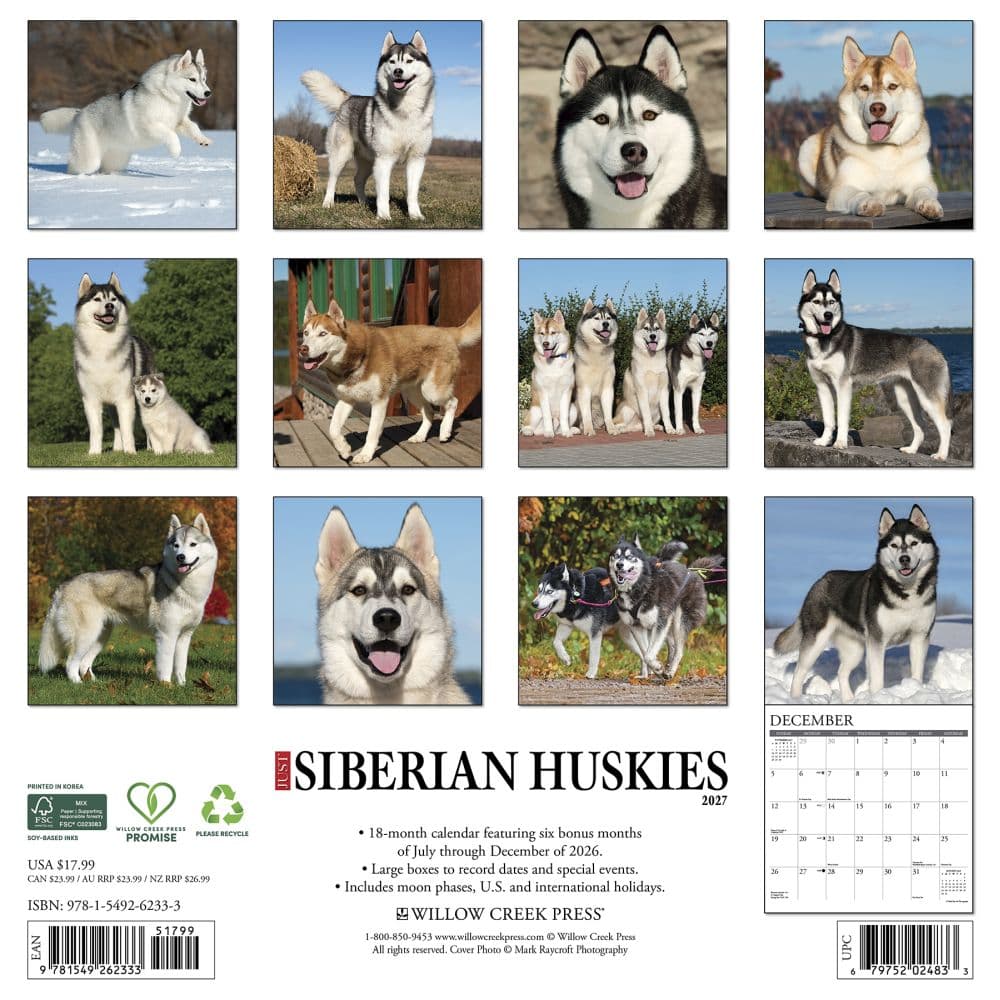 Just Siberian Huskies 2027 Wall Calendar First Alternate Image
