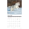 image Just Siberian Huskies 2027 Wall Calendar Second Alternate Image
