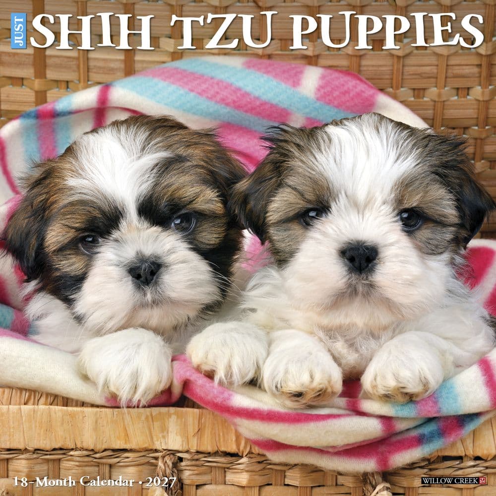 image Just Shih Tzu Puppies 2027 Wall Calendar Main Product Image