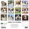 image Just Shih Tzu Puppies 2027 Wall Calendar First Alternate Image