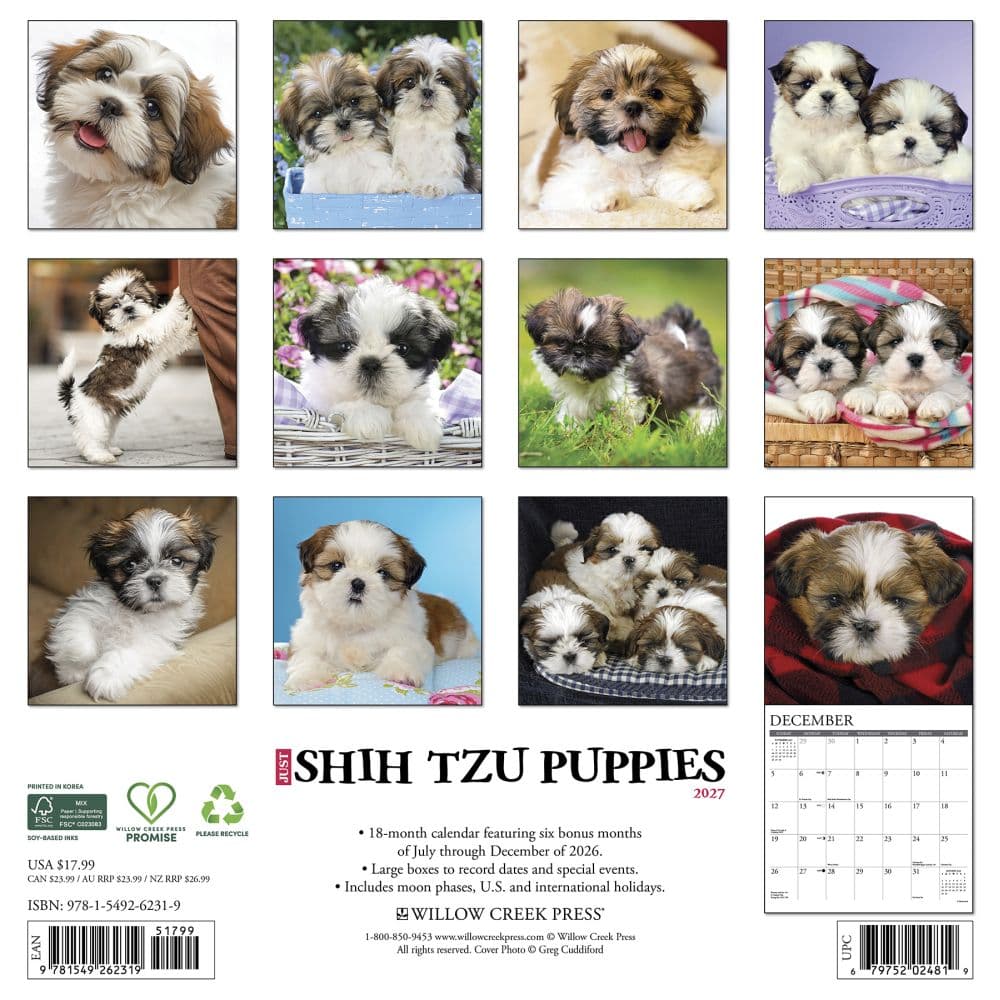Just Shih Tzu Puppies 2027 Wall Calendar First Alternate Image