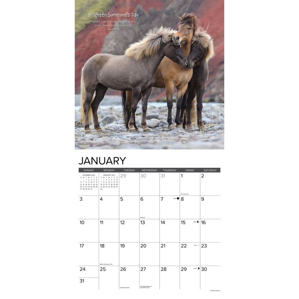 Seize The Hay 2027 Wall Calendar Second Alternate Image
