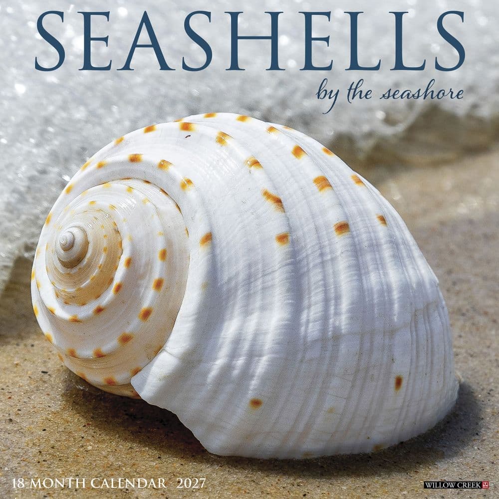 Seashells 2027 Wall Calendar Main Product Image