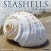image Seashells 2027 Wall Calendar Main Product Image