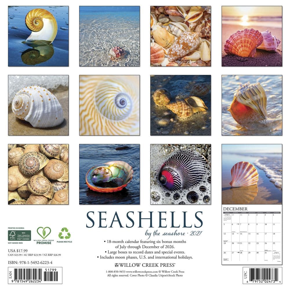 Seashells 2027 Wall Calendar First Alternate Image