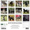 image Just Schnauzers 2027 Wall Calendar First Alternate Image