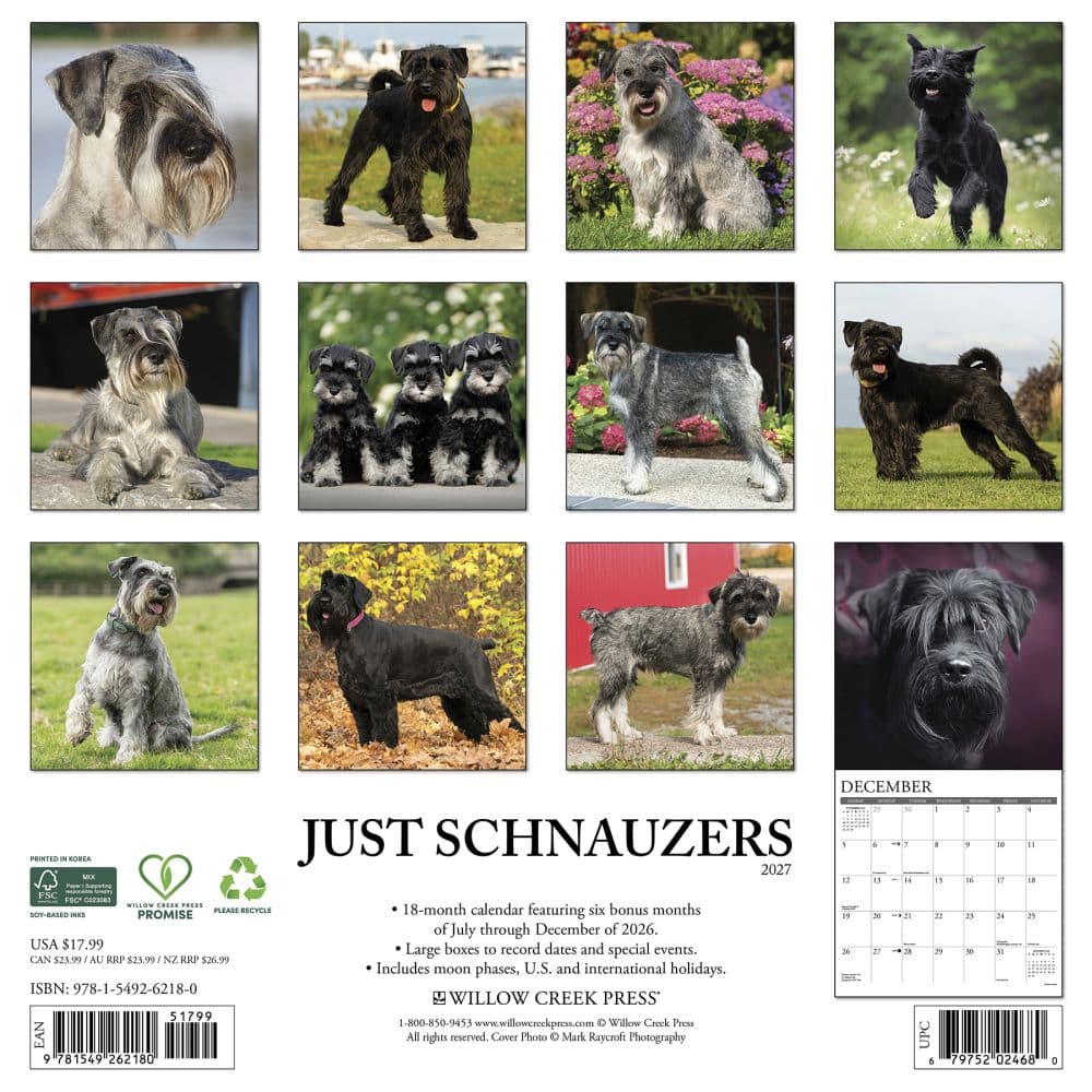 Just Schnauzers 2027 Wall Calendar First Alternate Image