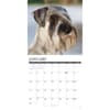 image Just Schnauzers 2027 Wall Calendar Second Alternate Image