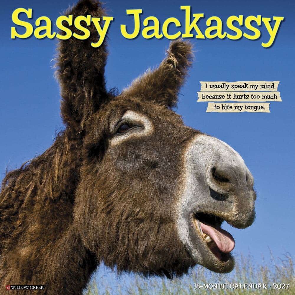 Sassy Jackassy 2027 Wall Calendar Main Product Image