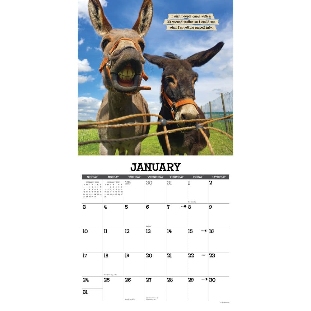 Sassy Jackassy 2027 Wall Calendar Second Alternate Image