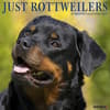 image Just Rottweilers 2027 Wall Calendar Main Product Image