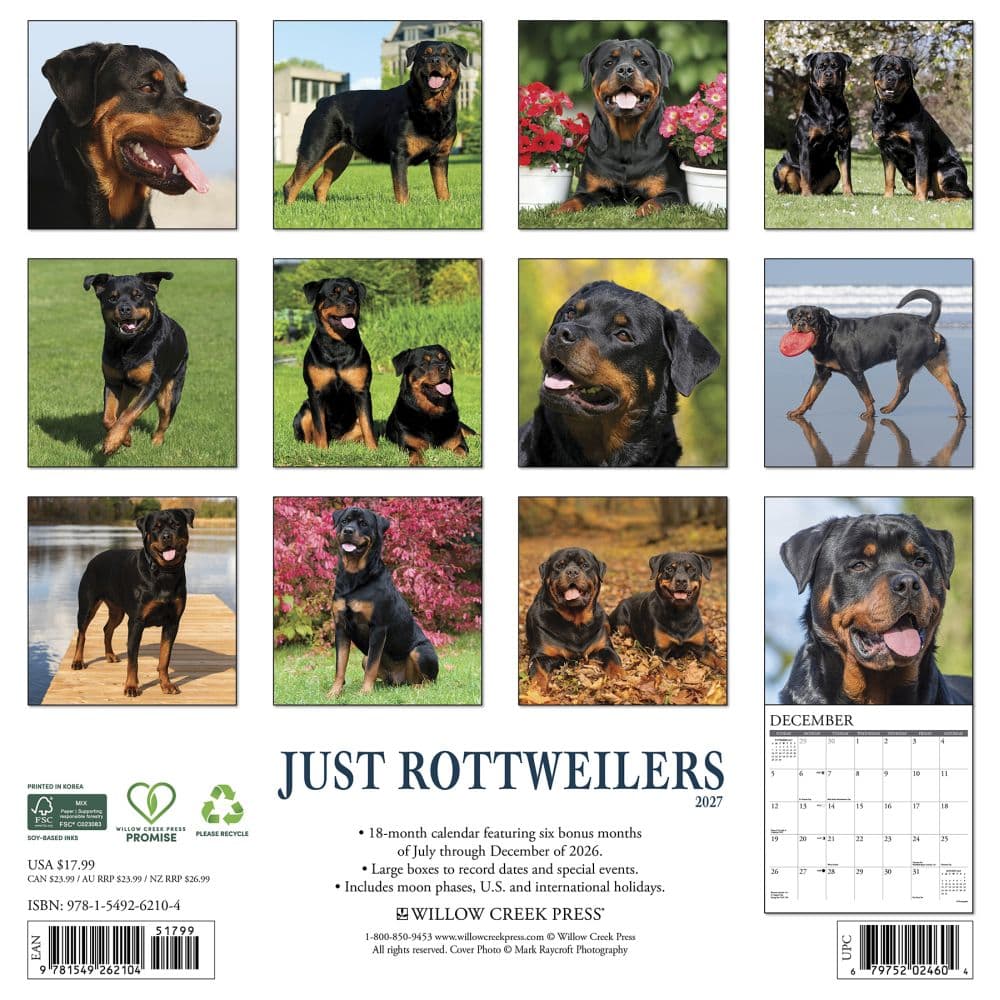 Just Rottweilers 2027 Wall Calendar First Alternate Image