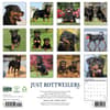 image Just Rottweilers 2027 Wall Calendar First Alternate Image