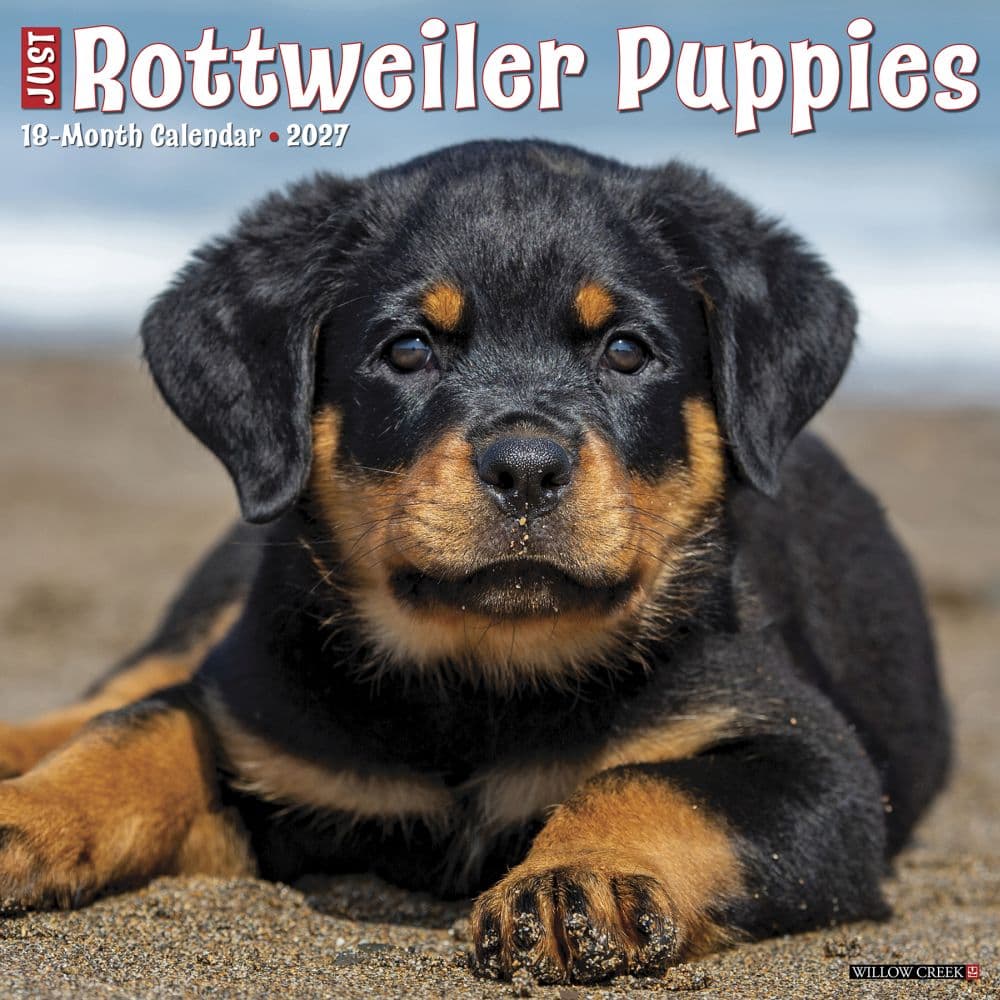 Just Rottweiler Puppies 2027 Wall Calendar Main Product Image