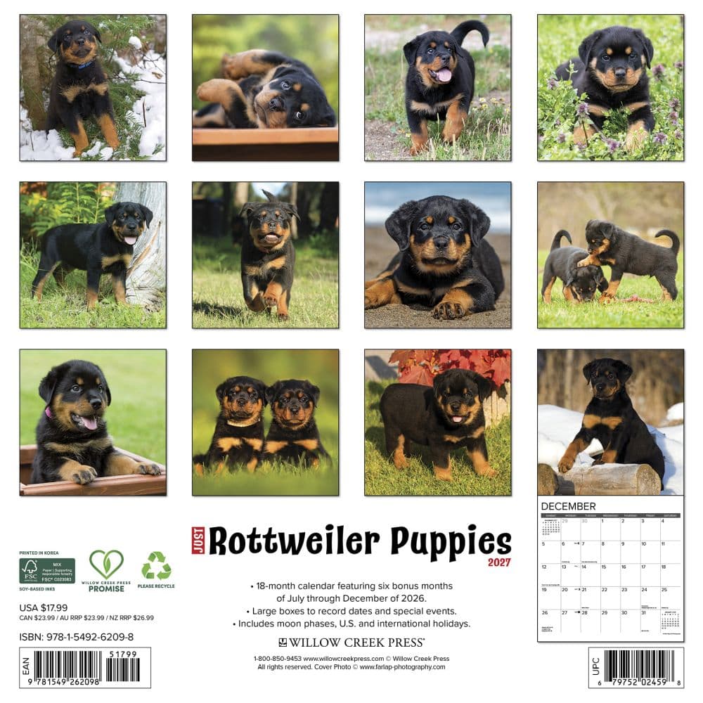 Just Rottweiler Puppies 2027 Wall Calendar First Alternate Image