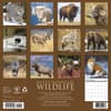 image Rocky Mountain Wildlife 2027 Wall Calendar First Alternate Image