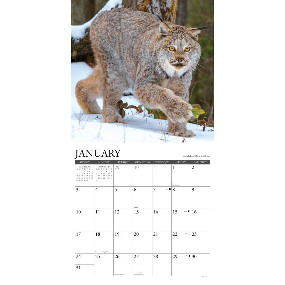 Rocky Mountain Wildlife 2027 Wall Calendar Second Alternate Image