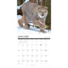 image Rocky Mountain Wildlife 2027 Wall Calendar Second Alternate Image