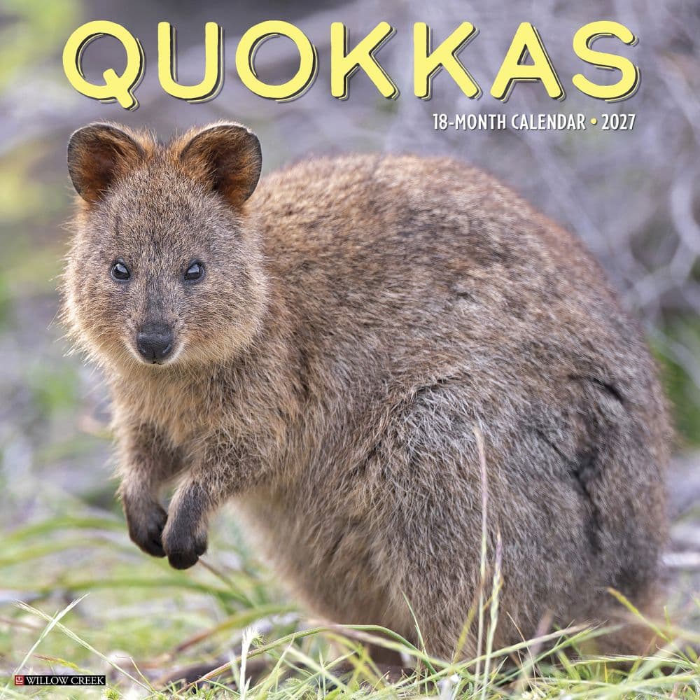 Quokkas 2027 Wall Calendar Main Product Image
