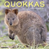 image Quokkas 2027 Wall Calendar Main Product Image