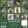 image Quokkas 2027 Wall Calendar First Alternate Image