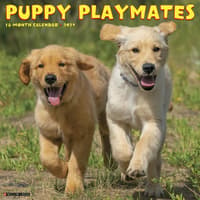 image Puppy Playmates 2027 Wall Calendar Main Product Image