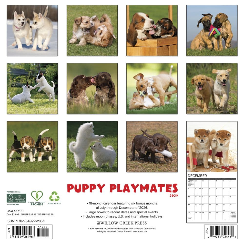 Puppy Playmates 2027 Wall Calendar First Alternate Image