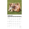 image Puppy Playmates 2027 Wall Calendar Second Alternate Image