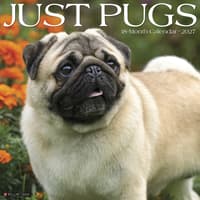 image Just Pugs 2027 Wall Calendar Main Product Image