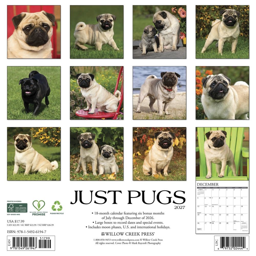Just Pugs 2027 Wall Calendar First Alternate Image