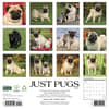 image Just Pugs 2027 Wall Calendar First Alternate Image