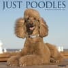 image Poodles Just 2027 Wall Calendar Main Product Image
