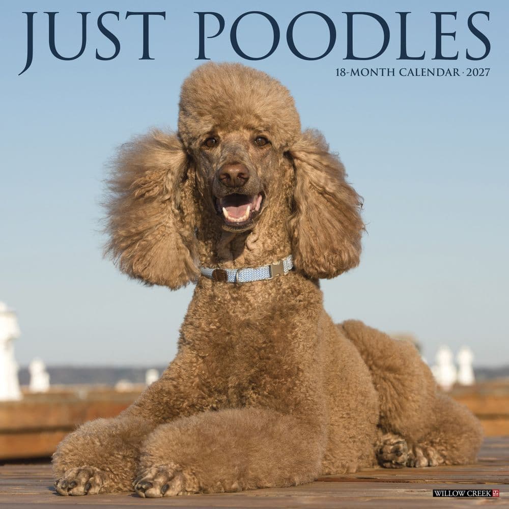 image Poodles Just 2027 Wall Calendar Main Product Image