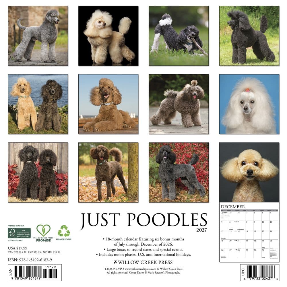 Poodles Just 2027 Wall Calendar First Alternate Image