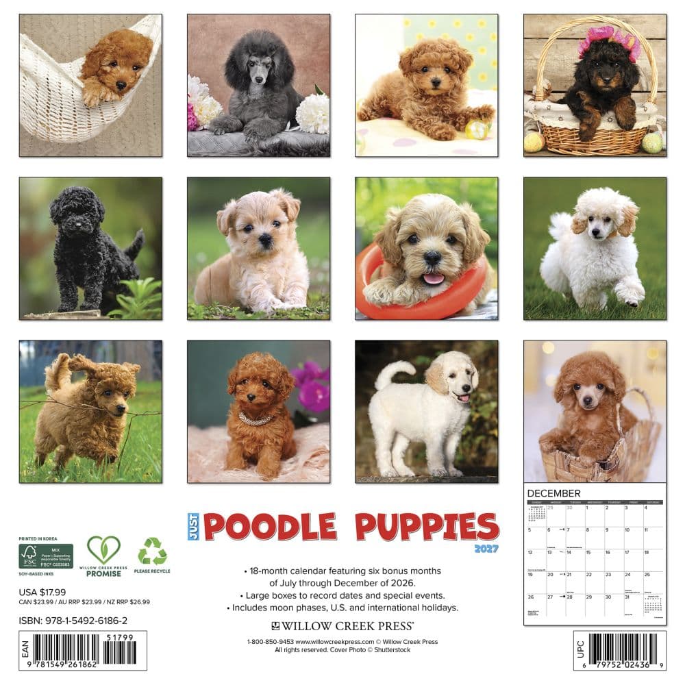 Just Poodle Puppies 2027 Wall Calendar First Alternate Image