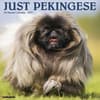 image Just Pekingese 2027 Wall Calendar Main Product Image
