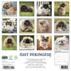 image Just Pekingese 2027 Wall Calendar First Alternate Image