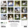 image Just Papillons 2027 Wall Calendar First Alternate Image