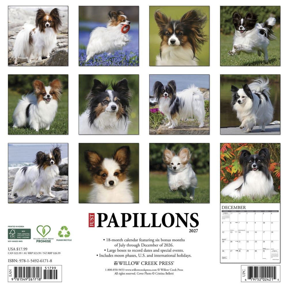 Just Papillons 2027 Wall Calendar First Alternate Image