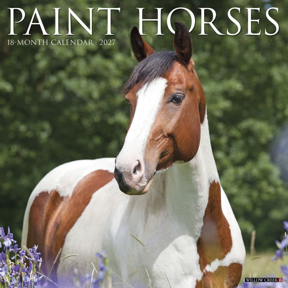 Paint Horses 2027 Wall Calendar Main Product Image