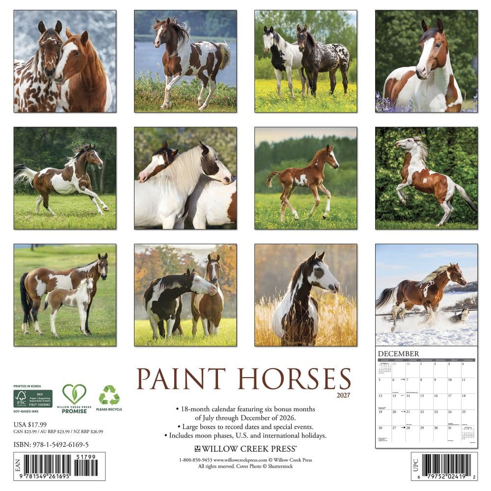 Paint Horses 2027 Wall Calendar First Alternate Image